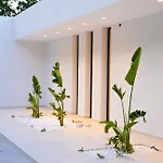 The Oasis, Luxury In Nidri