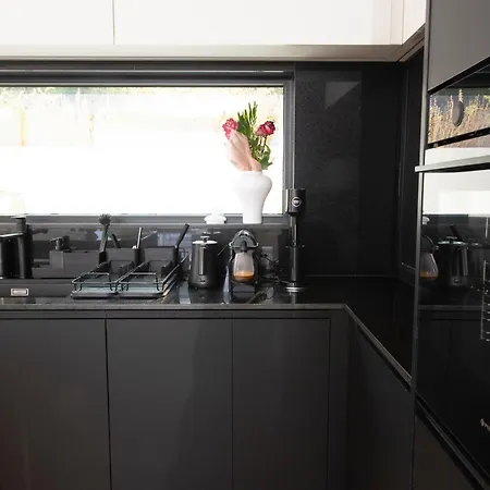 The Oasis, Luxury In Nidri ヴィラ *